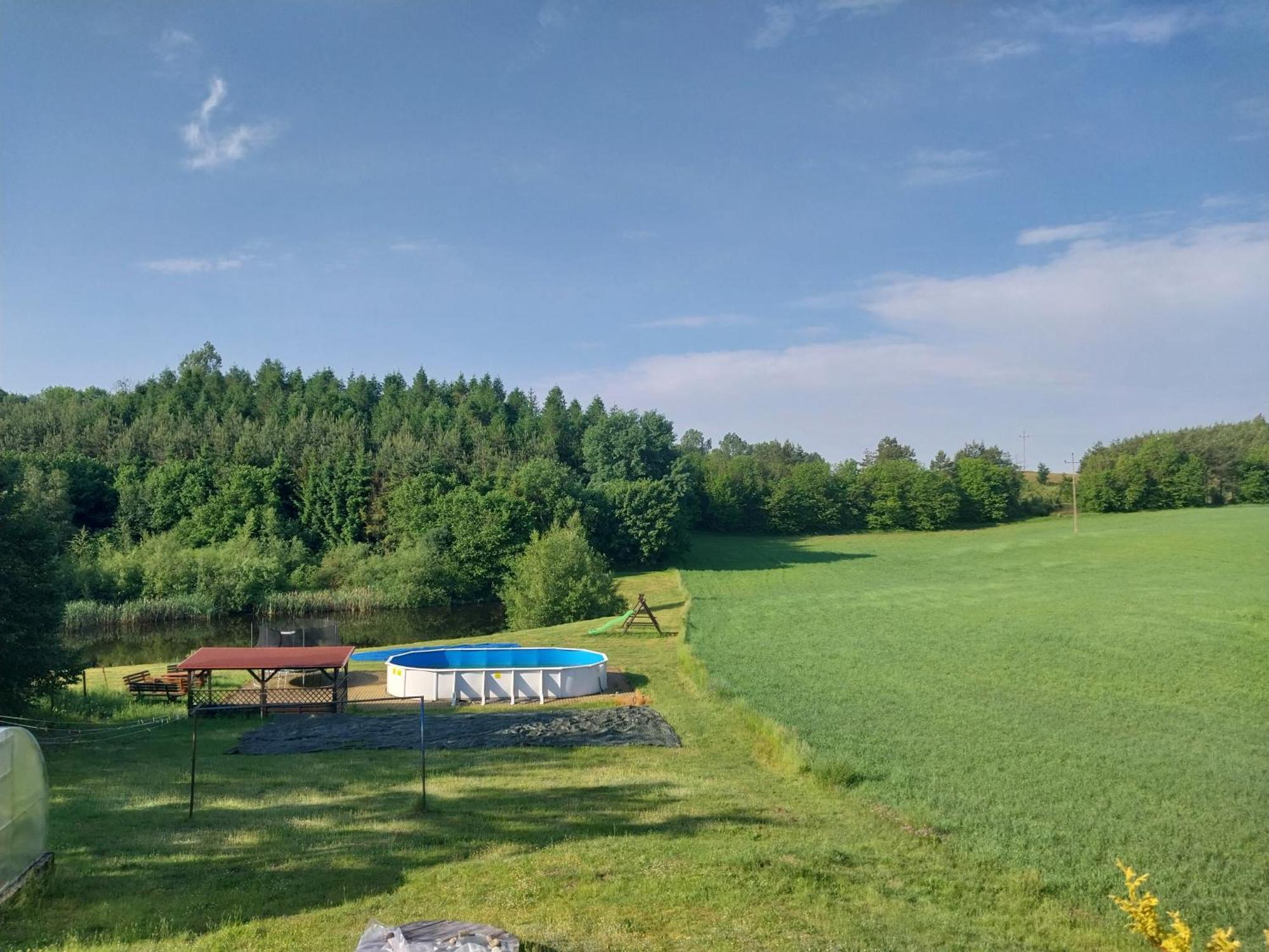 Wypoczynek Kocia Gora Villa Dziemiany Eksteriør billede