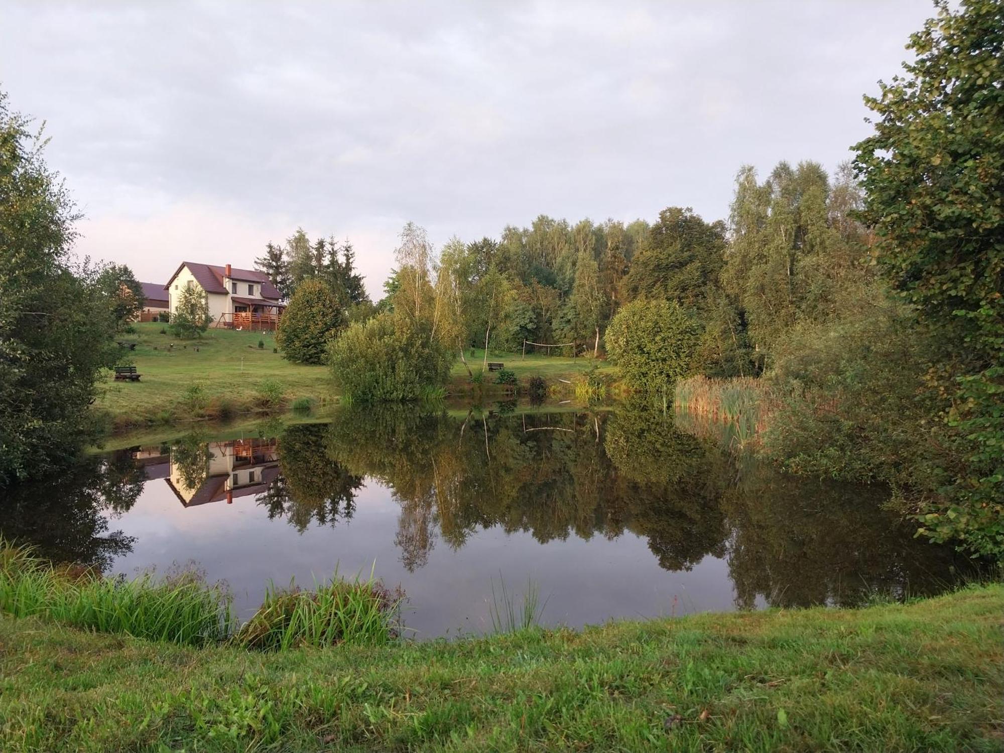 Wypoczynek Kocia Gora Villa Dziemiany Eksteriør billede